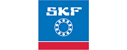 SKF Rulman